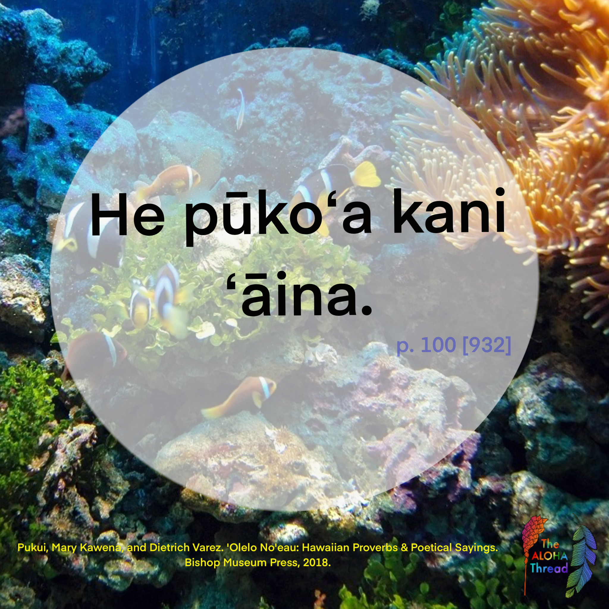 he puko'a kani 'aina